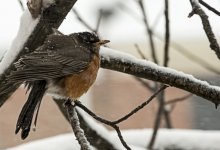 Снег, дождь и порывистый ветер ожидаются на большей части территории Казахстана