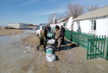 Большой паводок готовятся встречать в Костанайской области