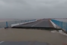 Вышедшая из берегов Сырдарья размыла дорогу в Кызылординской области