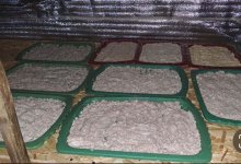 Нарколабораторию обнаружили полицейские в селе Алматинской области