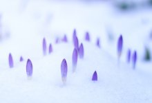 Штормовое предупреждение объявили на большей части Казахстана