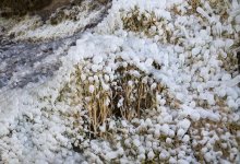 В каких областях Казахстана объявили штормовое предупреждение