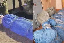 Четверых жителей Кызылординской области посадили за хранение наркотиков