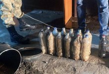 Иностранец пытался ввезти в Казахстан около 14 кг наркотиков