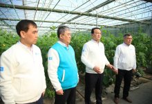 Как будут развивать сельское хозяйство в Туркестане, рассказали кандидаты от AMANAT