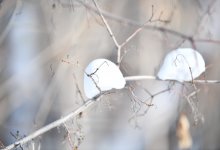 Дождь и снег ожидаются в Казахстане 15 марта