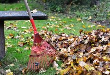 В течение пяти дней навести порядок во всех дворах поручил жителям акимат Семея