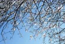 Погода в Казахстане на 18 марта