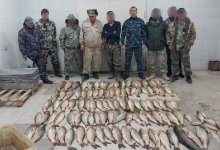 160 килограммов незаконно выловленной рыбы изъяли полицейские в Туркестанской области