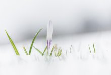 В каких областях Казахстана сохранится угроза паводка