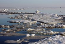 Военный спас ребенка, провалившегося под лед в Астане