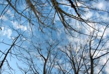 Ясная погода ожидается на большей части Казахстана 21 марта