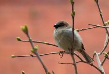 Умеренно теплая погода ожидается в Казахстане