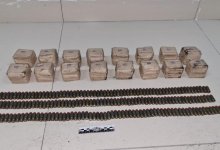 Тайник с боеприпасами нашли в парке в Талдыкоргане