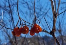 Казахстанцев ожидает ясная погода без осадков