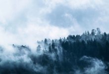 Туман и усиление ветра ожидаются на территории Казахстана