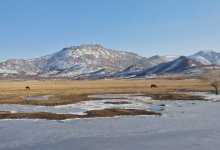 Погоду без осадков прогнозируют в Казахстане 27 марта