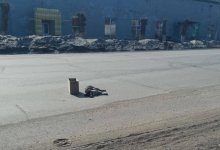 Неравнодушные горожане "охраняли" сбитую на дороге собаку в Усть-Каменогорске