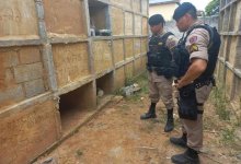 Похороненную заживо женщину нашли на кладбище в Бразилии