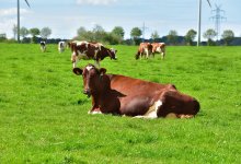 “Мы учли прошлые ошибки”: как будет работать программа для сельчан “Ауыл Аманаты”