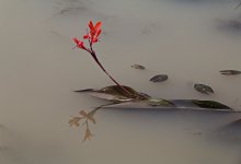 Нечистоты сливал на улицу житель Экибастуза (ВИДЕО)