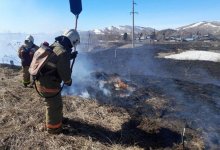 Трава и камыш горели в двух областях Казахстана