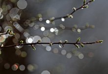 Сильные дожди пройдут в нескольких регионах Казахстана 5 апреля