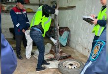 Около 50 килограммов осетровой рыбы нашли у жителя Мангистау