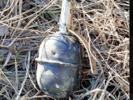 Граната на пустыре напугала жителей Петропавловска