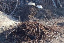 Дачники сжигали мусор с нарушениями пожарной безопасности в Аксу