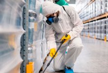 Ядовитые приманки для грызунов разложат в парках и частном секторе Астаны