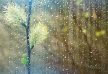 Дождь, снег и град ожидаются в Казахстане 8 апреля