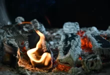 Трое из одной семьи насмерть отравились угарным газом в СКО