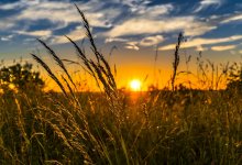 Как будут развивать села Казахстана ближайшие пять лет