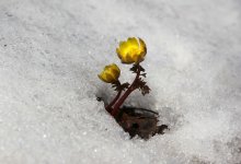 Дождь, снег и ветер накроют Казахстан 11 апреля