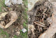 Схрон с боеприпасами обнаружили в Жетысуской области