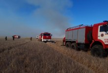 Сколько лесных пожаров произошло с начала весны в Казахстане