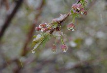 В выходные казахстанцев ждут заморозки, метель и гололед