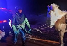 Заблудившихся в степи пастухов разыскали актюбинские спасатели