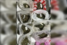 55-летнего сбытчика марихуаны задержали в Жамбылской области