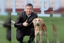 Долгожданное признание