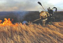 В пожарном порядке