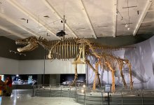 Возвращение к истокам