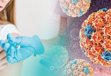 "Папиллопопытка" номер два