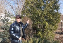 Сажать деревья научит дендроплан