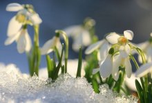 Осадков не будет на большей части Казахстана 20 апреля