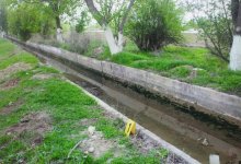 Убийство девушки в Туркестанской области: задержали еще одного подозреваемого