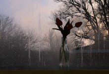 Черноморский циклон принесет в Казахстан дождь 23 апреля