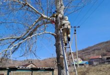 Испугалась и плакала: чтобы снять с дерева девочку пришлось вызывать спасателей в ВКО