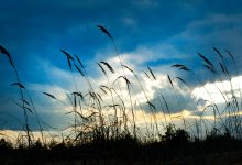 Сильный ветер ожидает казахстанцев 25 апреля